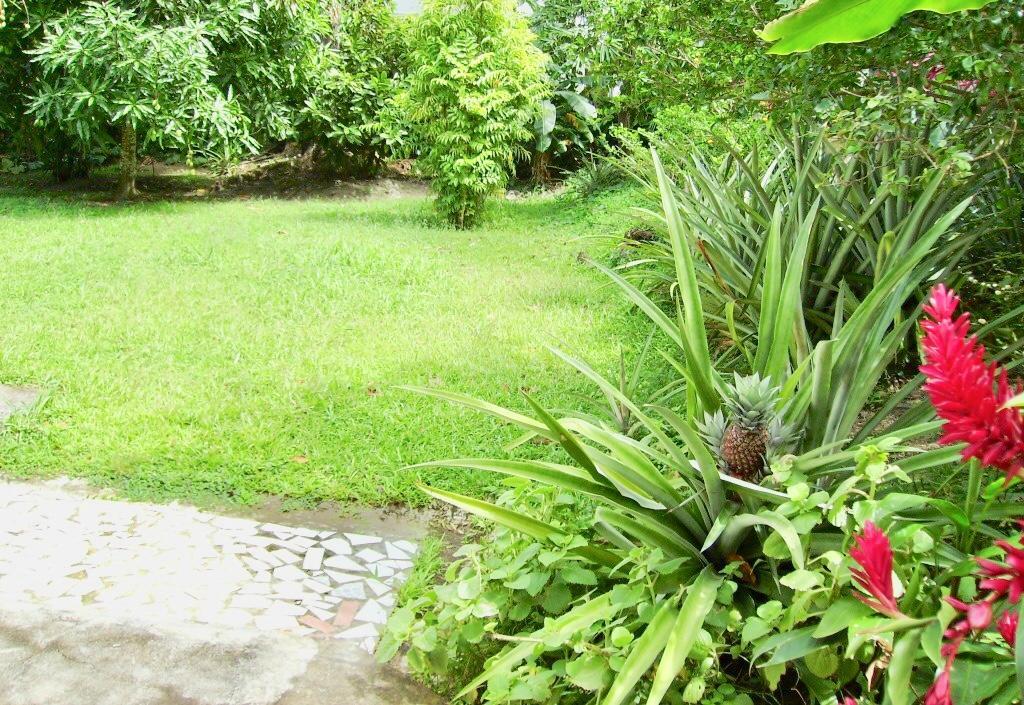 Ferienwohnung Diamondview Soufrière Exterior foto